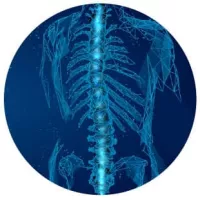 x-ray graphic of spine