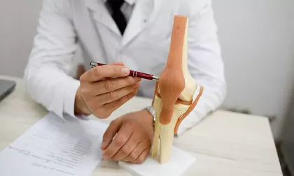 doctor showing knee joint model